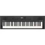 Roland GO KEYS 3 IN 61-Keys Music Creation Keyboard